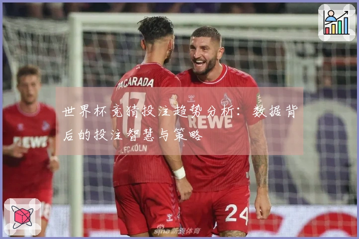 世界杯竞猜投注趋势分析：数据背后的投注智慧与策略