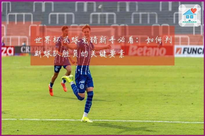 世界杯买球竞猜新手必看:如何判断球队胜负的关键要素