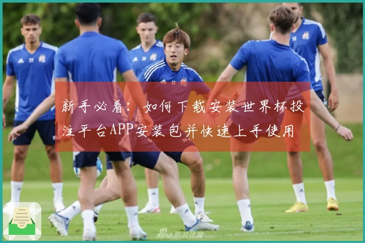 新手必看：如何下载安装世界杯投注平台APP安装包并快速上手使用