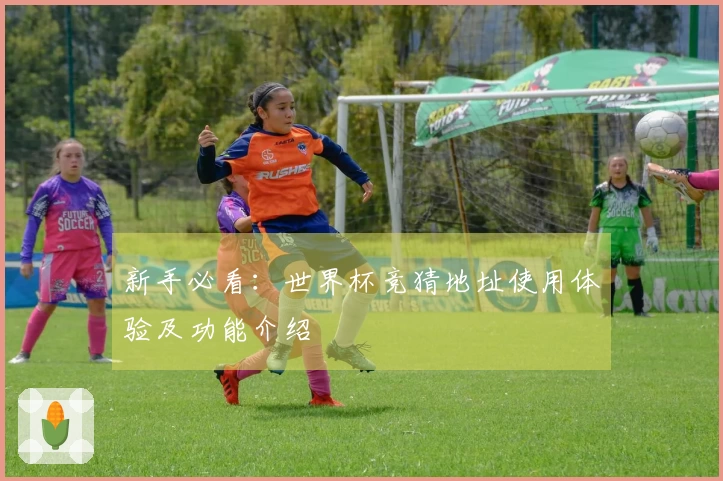 新手必看：世界杯竞猜地址使用体验及功能介绍