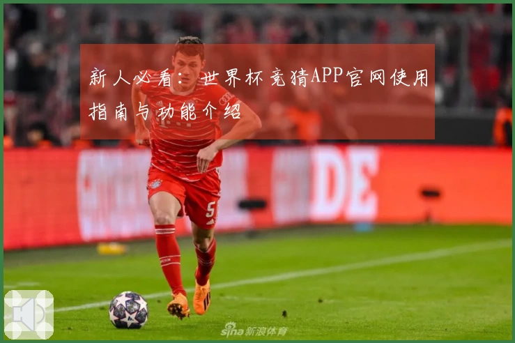 新人必看：世界杯竞猜APP官网使用指南与功能介绍