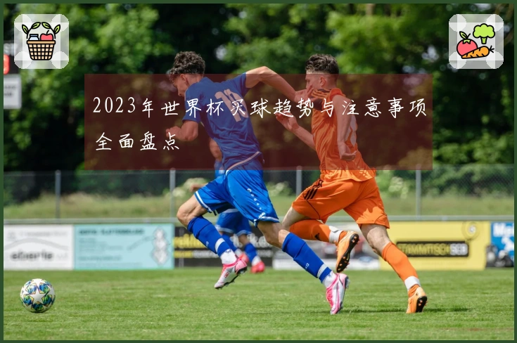 2023年世界杯买球趋势与注意事项全面盘点