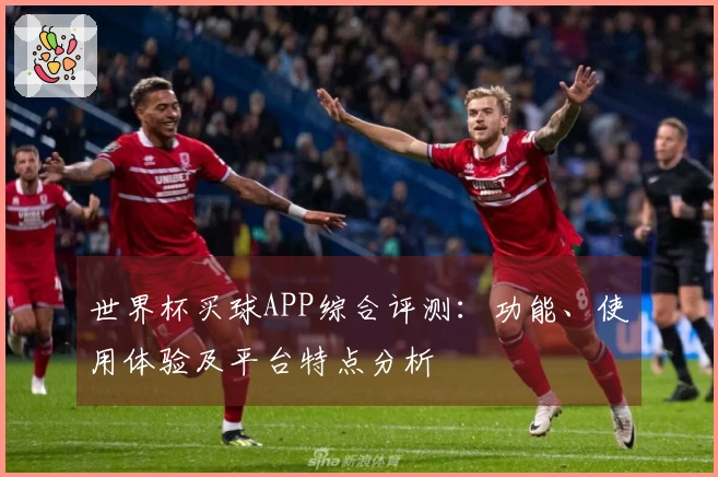 世界杯买球APP综合评测：功能、使用体验及平台特点分析