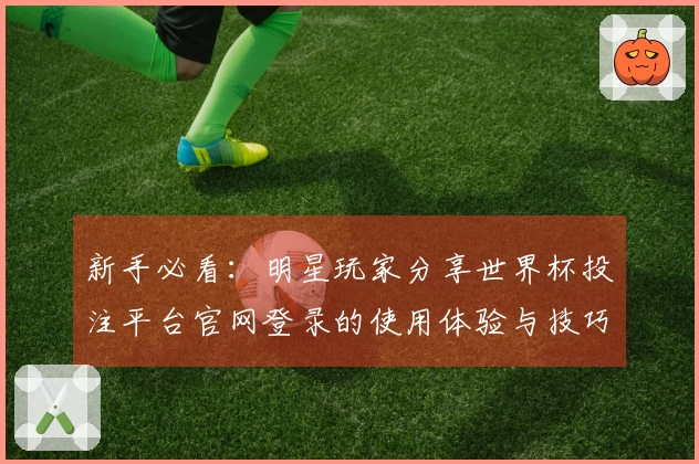新手必看：明星玩家分享世界杯投注平台官网登录的使用体验与技巧