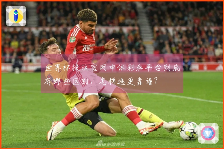 世界杯投注官网中体彩和平台到底有哪些区别，怎样选更靠谱？