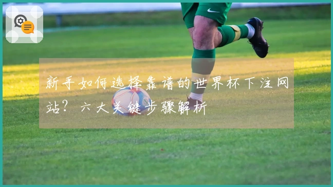 新手如何选择靠谱的世界杯下注网站?六大关键步骤解析