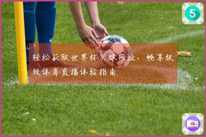 轻松获取世界杯买球网址，畅享极致体育直播体验指南