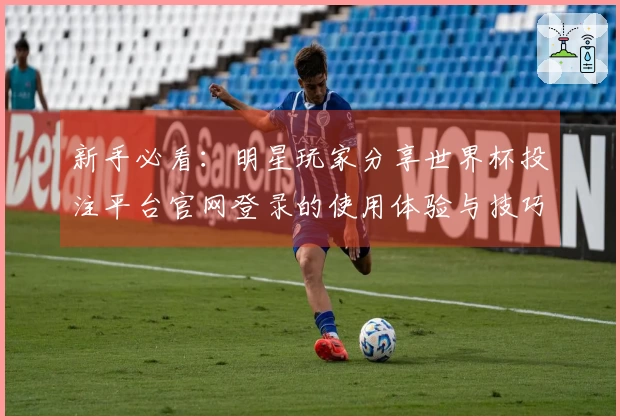 新手必看:明星玩家分享世界杯投注平台官网登录的使用体验与技巧