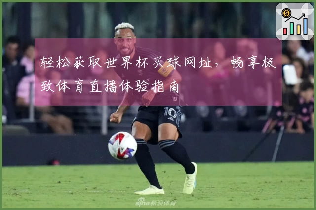 轻松获取世界杯买球网址，畅享极致体育直播体验指南