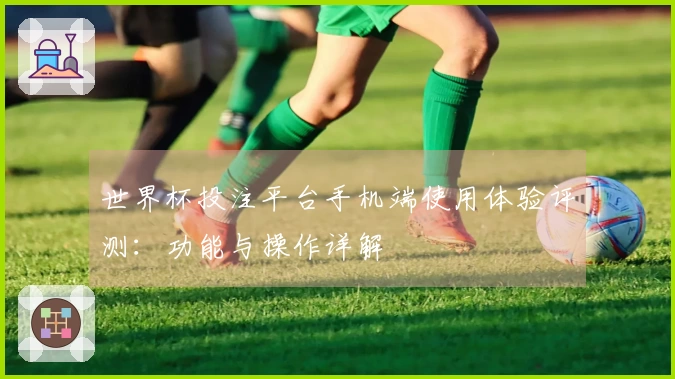 世界杯投注平台手机端使用体验评测：功能与操作详解